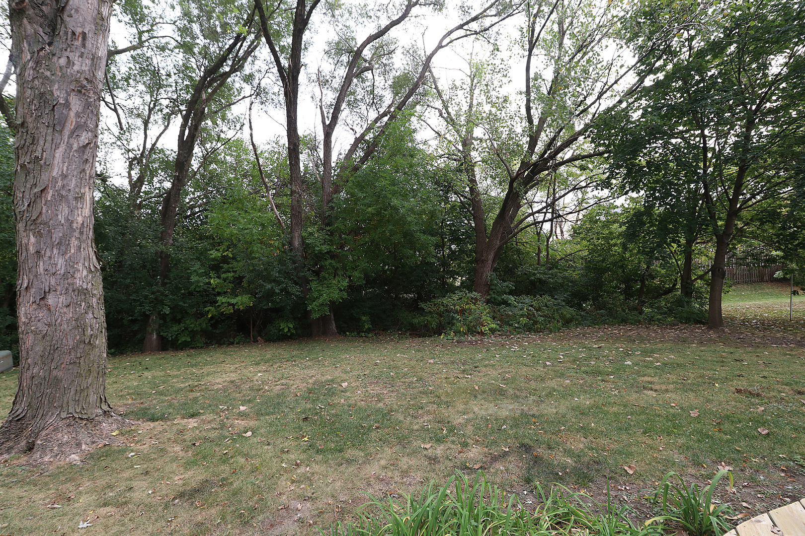 14803 South Penn Road Plainfield, IL 60544 - Photo 17 of 17 a view of an outdoor space and trees