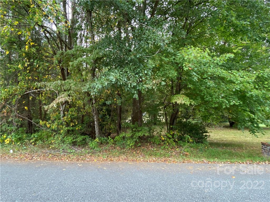 a view of a yard with plants and trees