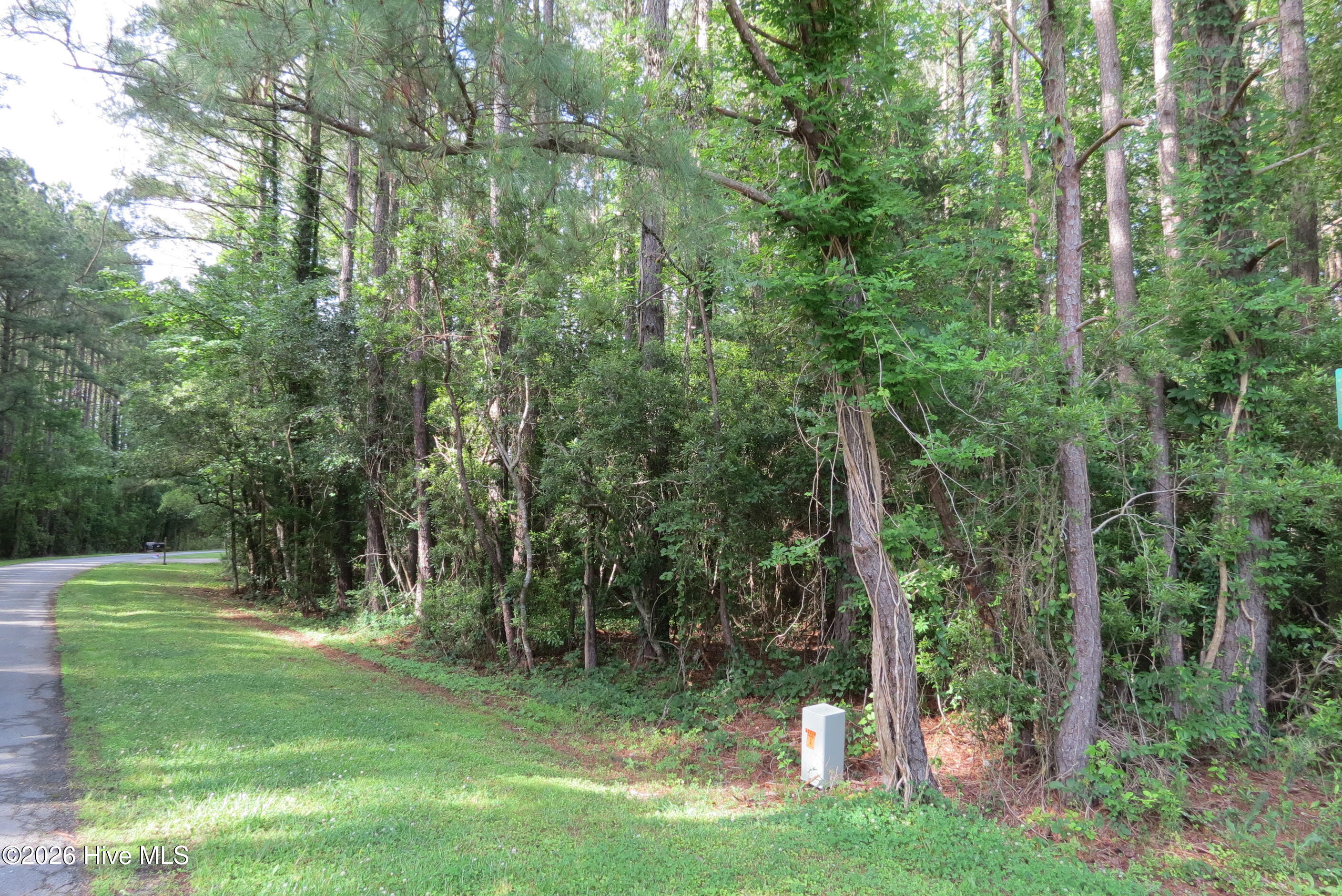 20 Teal Road Merritt, NC 28556 - Photo 4 of 22 IMG_2921