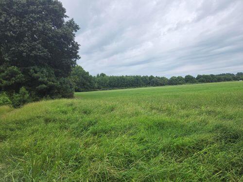 Lot1-a-1 Old Neck Road, Unit 1 Exmore, VA 23350 - Photo 11 of 15 Gallery Image 11