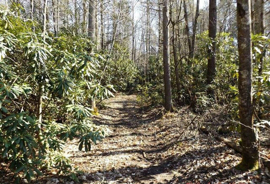 0 Tn-67 Butler, TN 37640 - Photo 2 of 7 77777770000-o