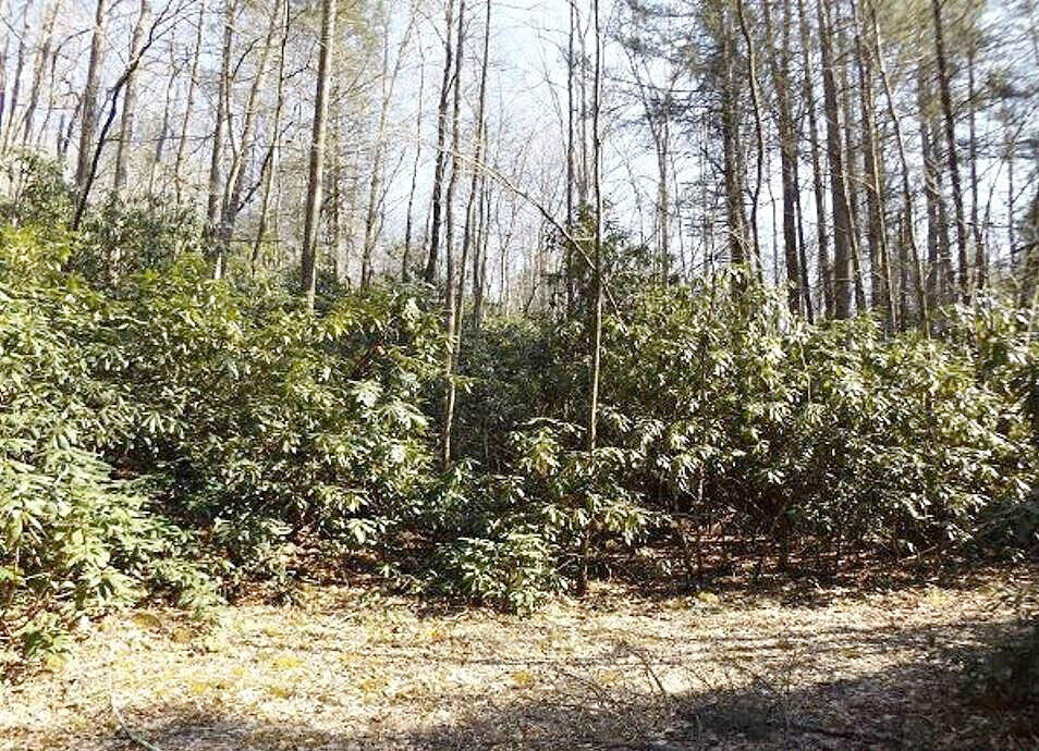 0 Tn-67 Butler, TN 37640 - Photo 4 of 7 7777777777777777700-o