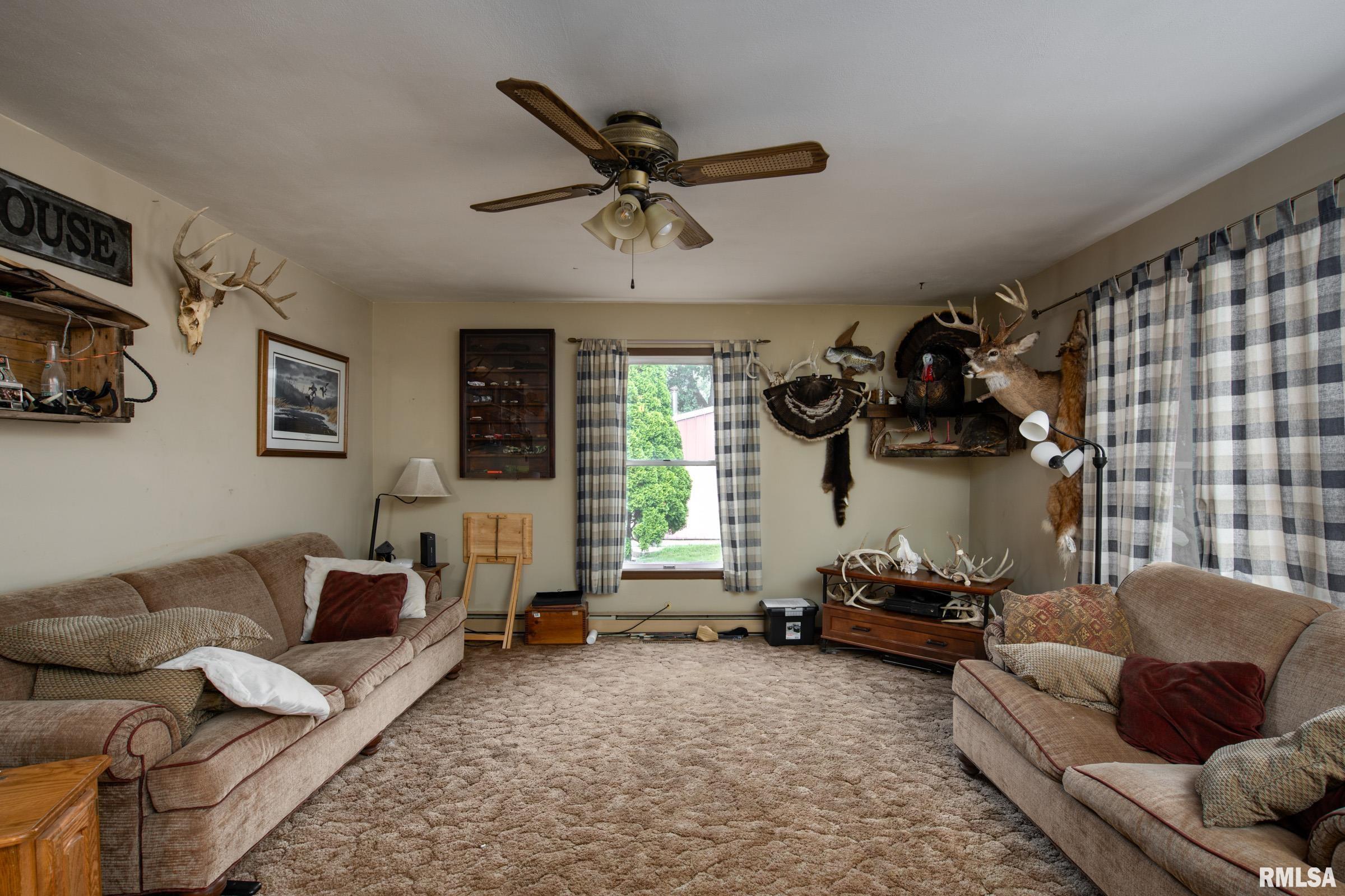 67 Scouts Road Murphysboro, IL 62966 - Photo 6 of 22