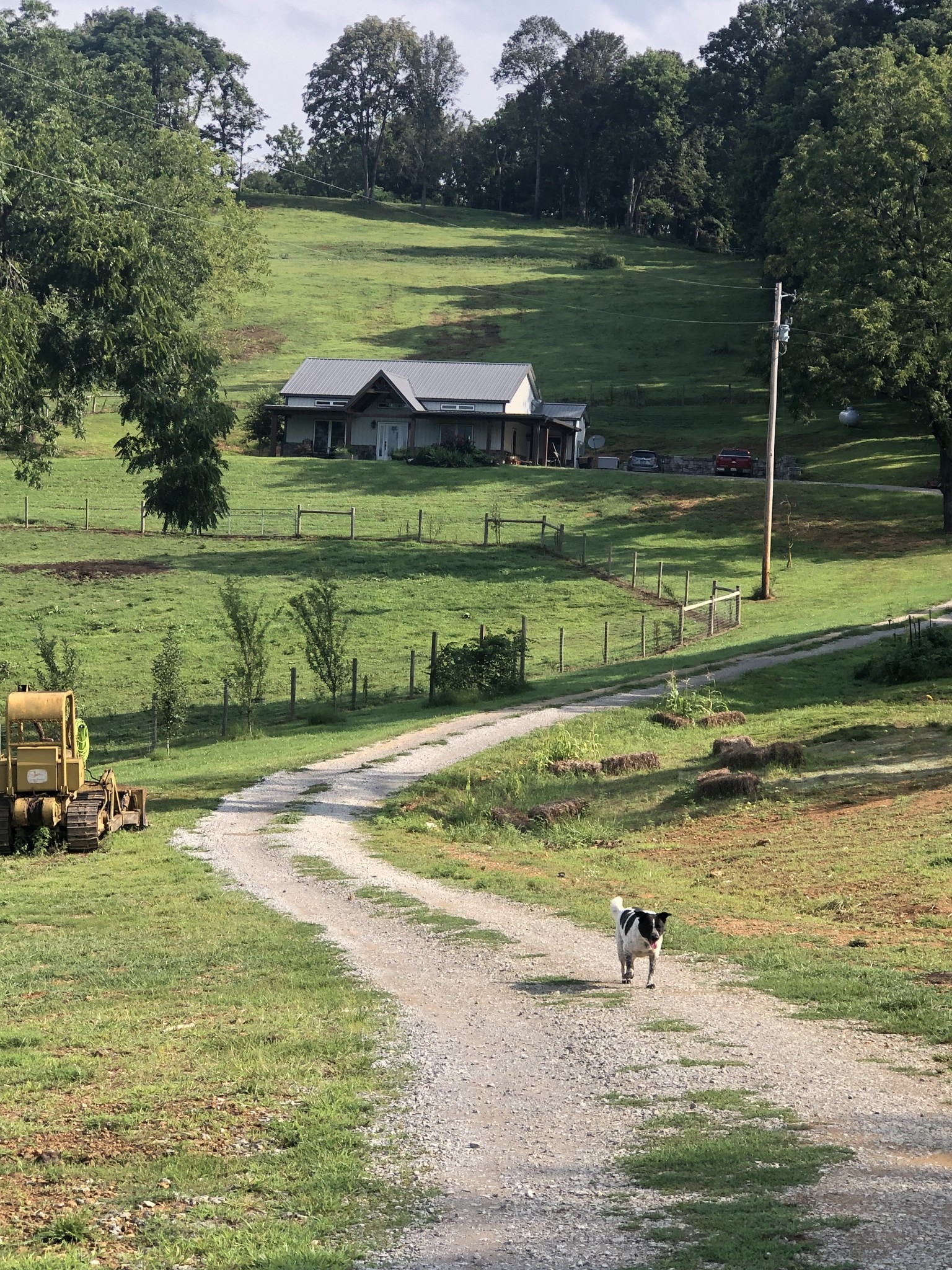 a view of a lake with a yard and swimming pool