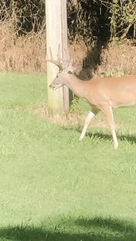 a bathroom with a sink