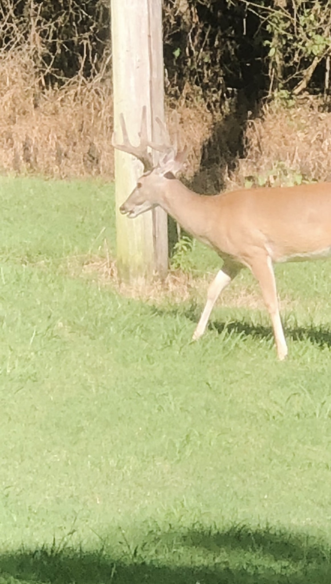1302 Coosie Branch Road Cornersville, TN 37047 - Photo 3 of 7 a bathroom with a sink