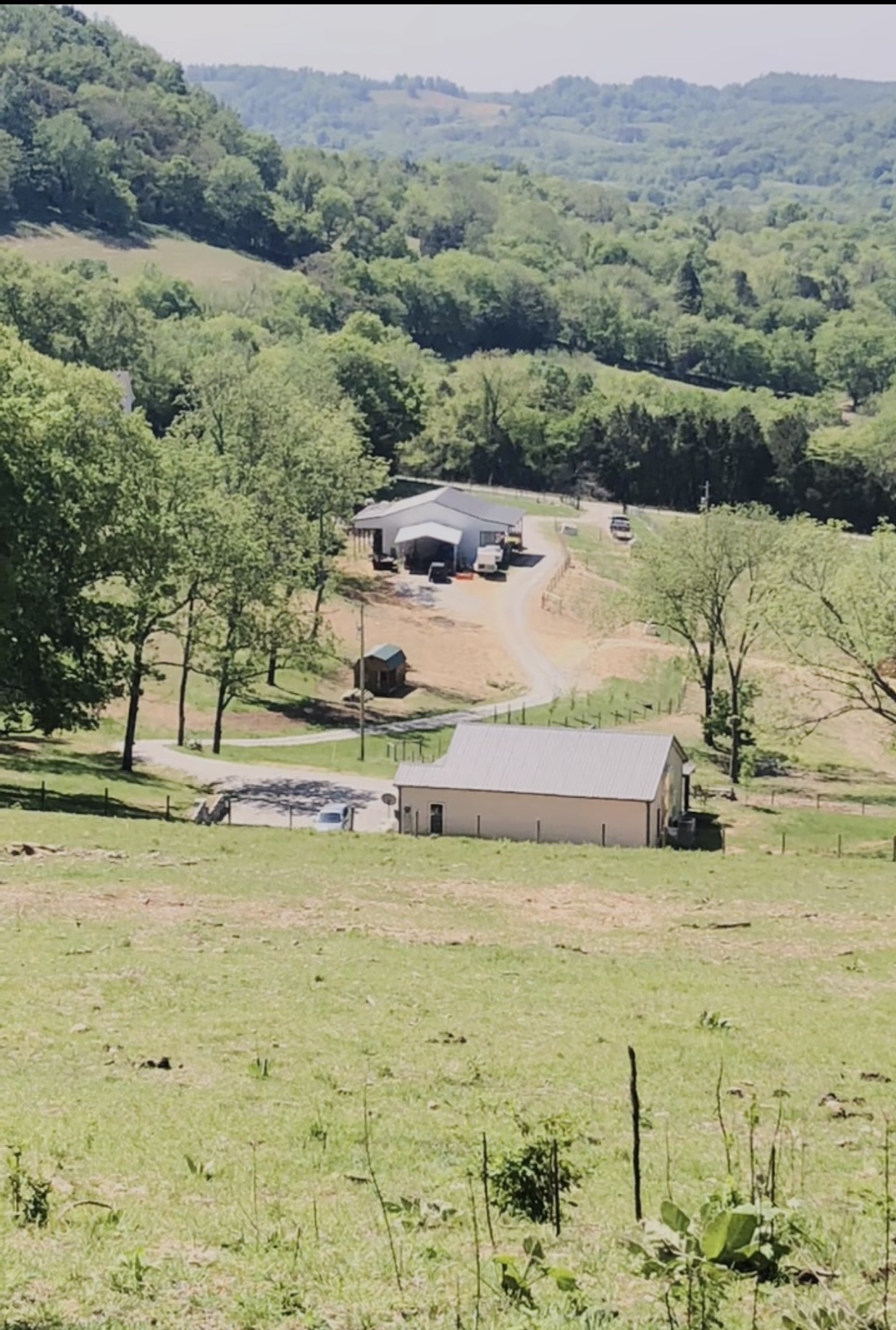 1302 Coosie Branch Road Cornersville, TN 37047 - Photo 4 of 7 a view of a lake with a mountain in the background