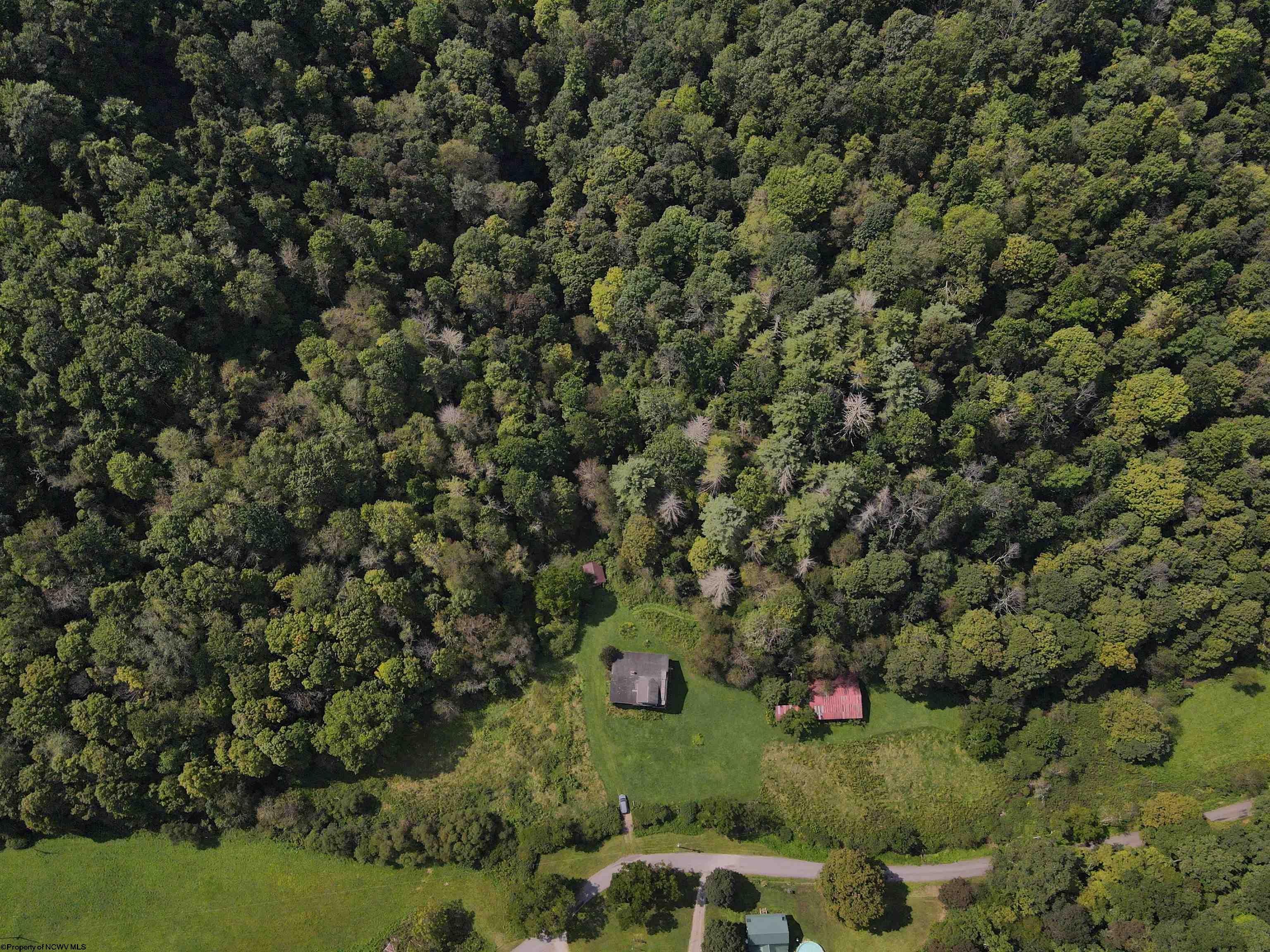 1742 Rush Run Road Burton, WV 26562 - Photo 23 of 36 Gallery Image 23