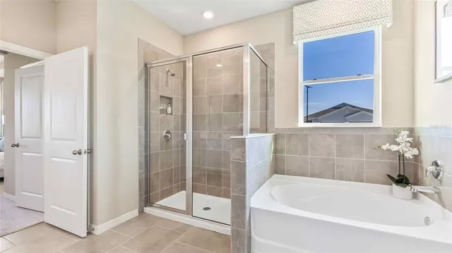 a bathroom with a bathtub and a shower