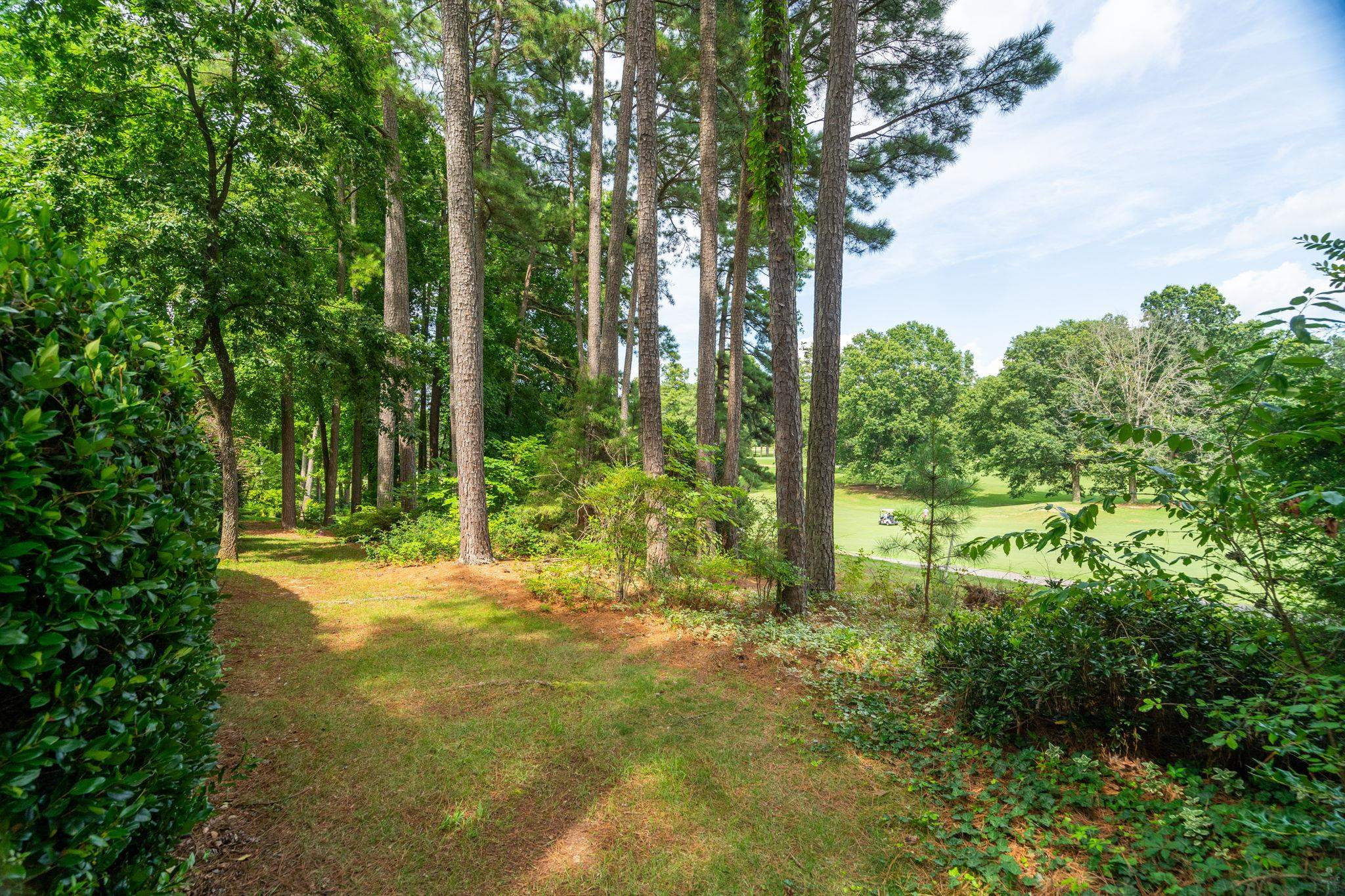 2965 Tillinghast Trail Raleigh, NC 27613 - Photo 43 of 48 Golf Course View