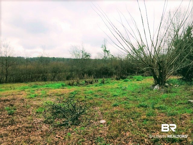 4681 Britton Lige Road Millry, AL 36558 - Photo 11 of 13