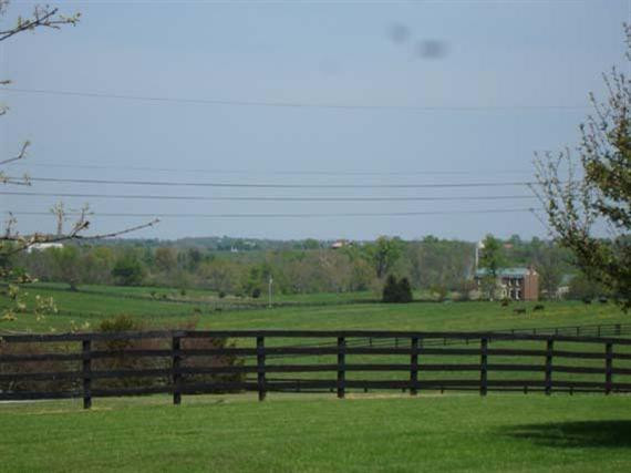 983 Crumbaugh Road Georgetown, KY 40324 - Photo 29 of 37 Photo 29
