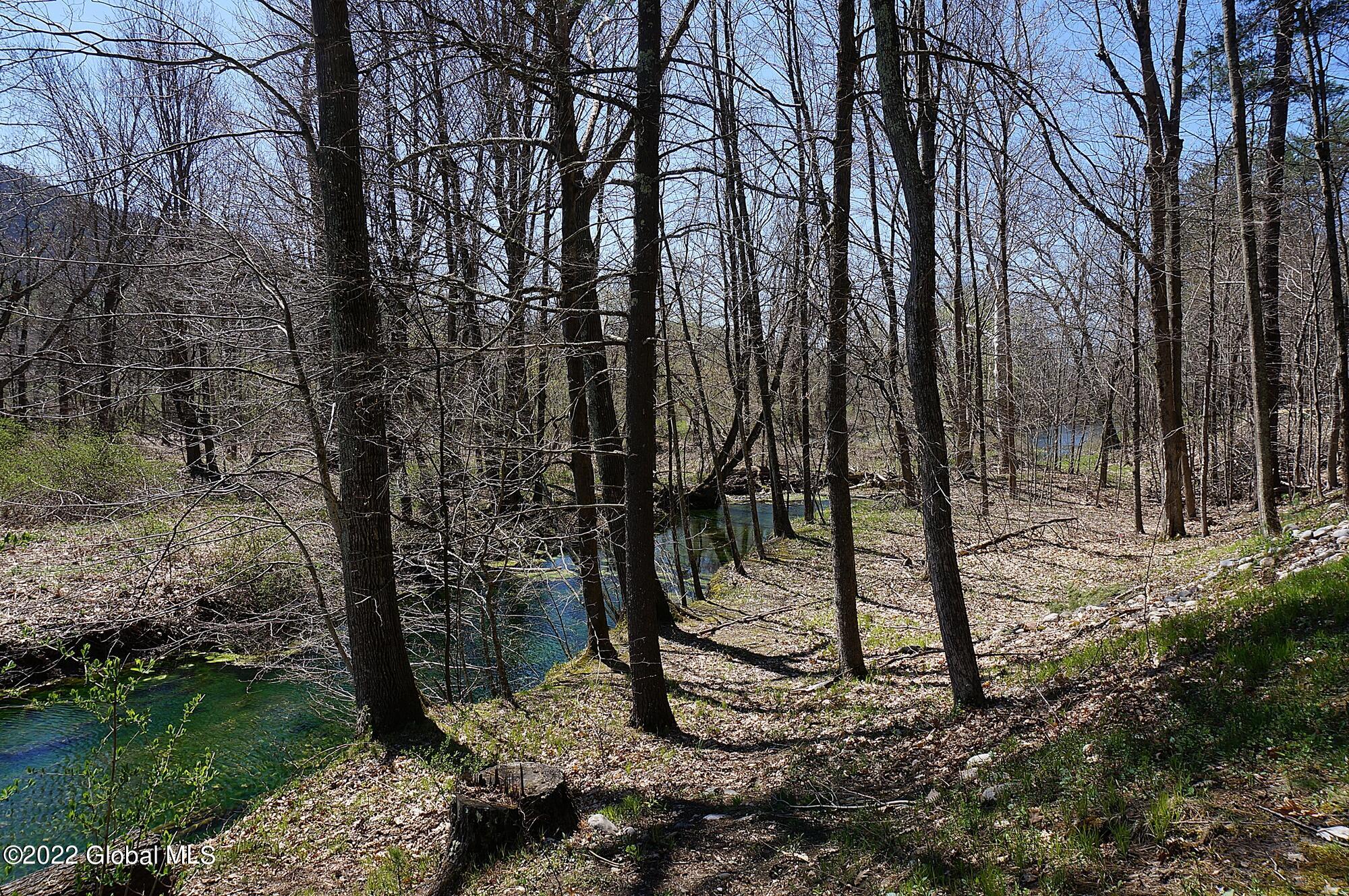 78 Roberson Road Salem, NY 12873 - Photo 34 of 43 DSC04105