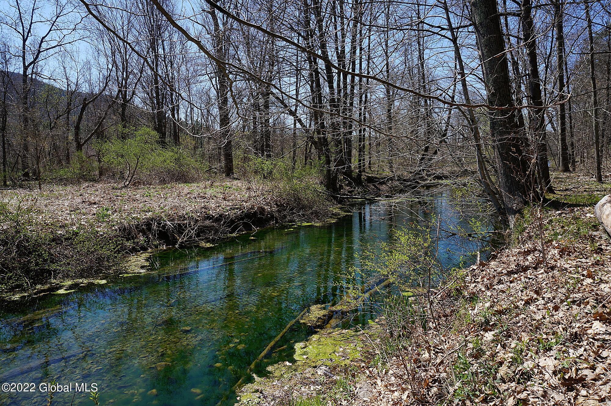 78 Roberson Road Salem, NY 12873 - Photo 4 of 43 DSC04110