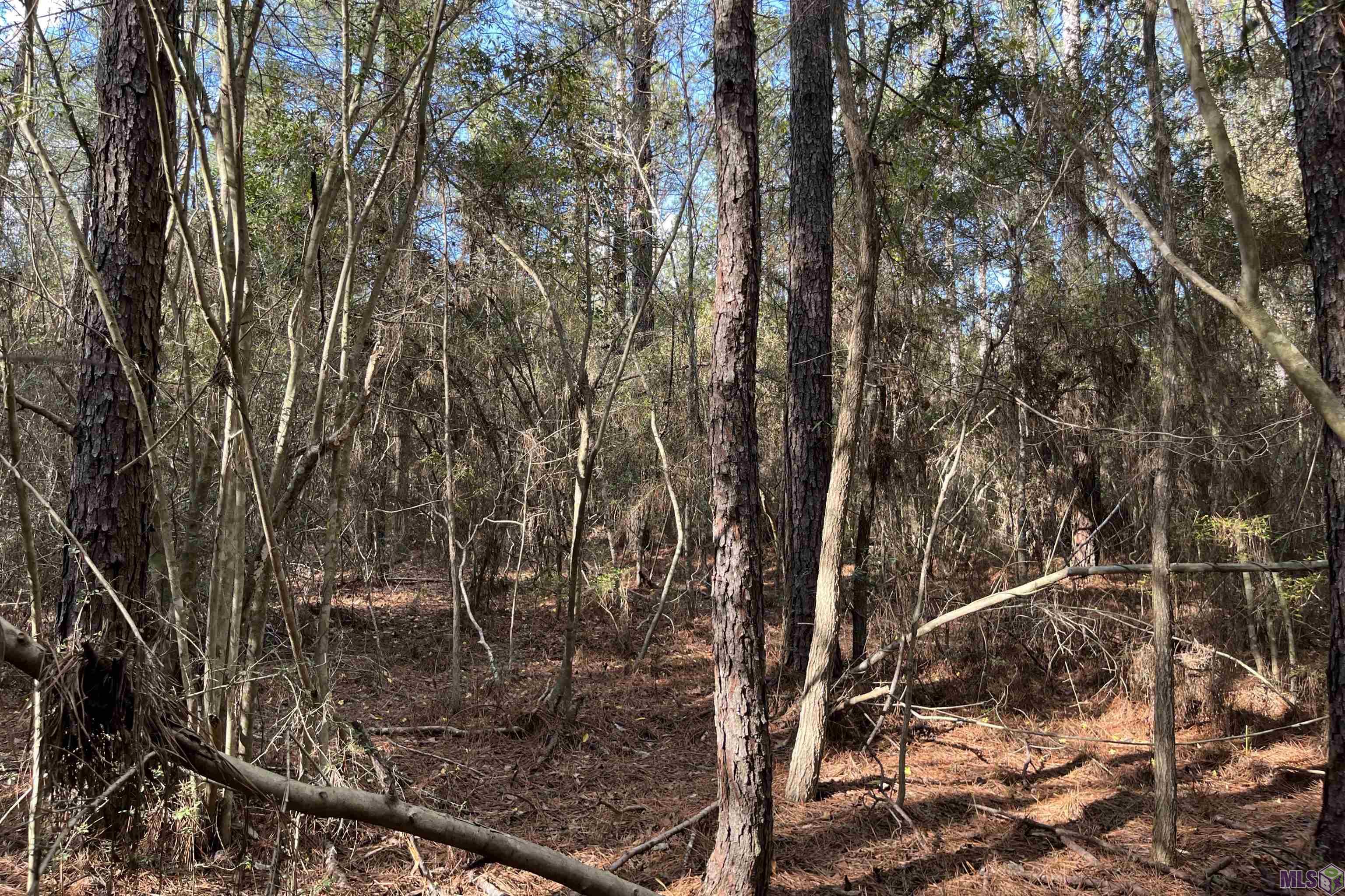 60 Butler Road Greensburg, LA 70441 - Photo 12 of 14 Gallery Image 12