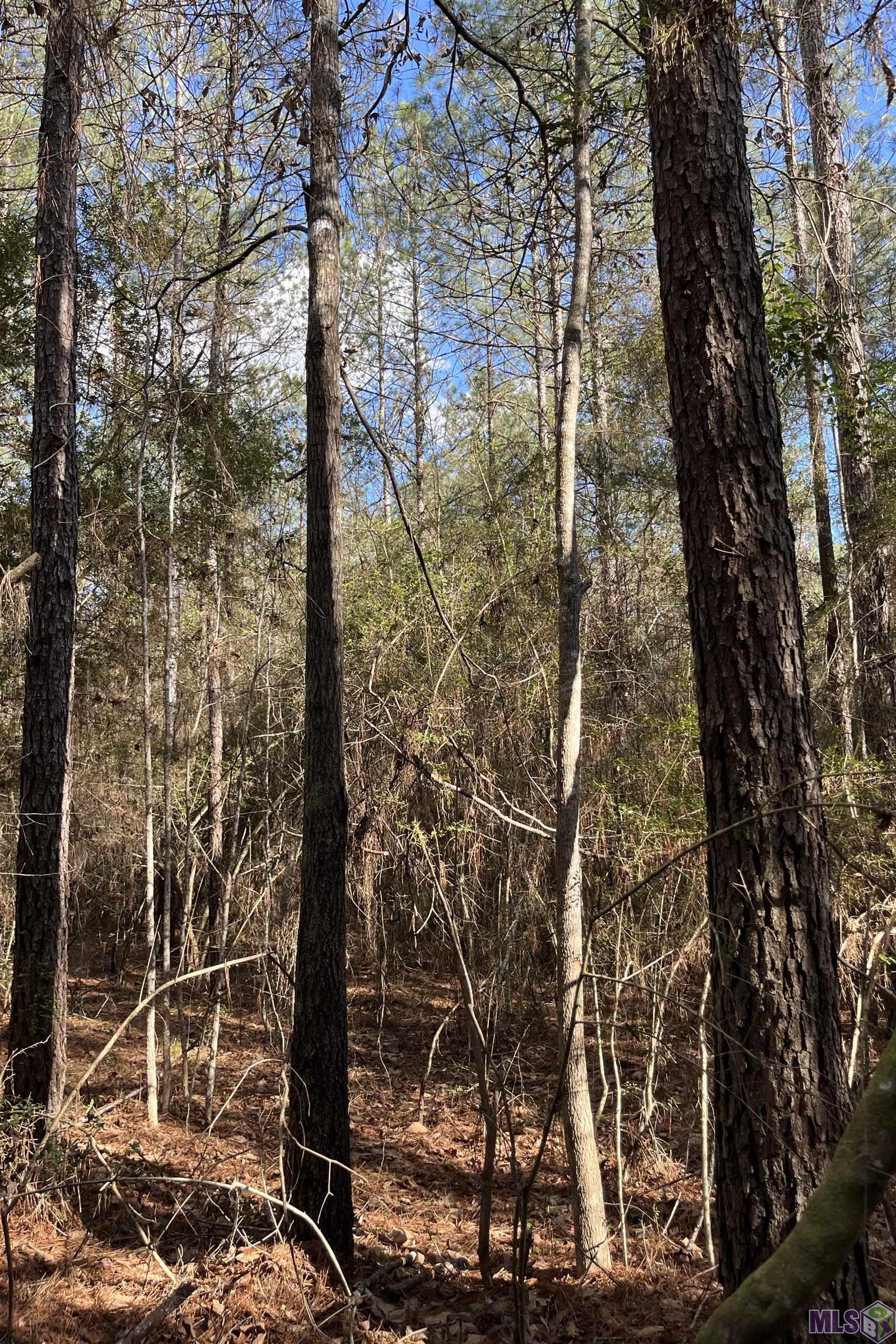 60 Butler Road Greensburg, LA 70441 - Photo 6 of 14 Gallery Image 6