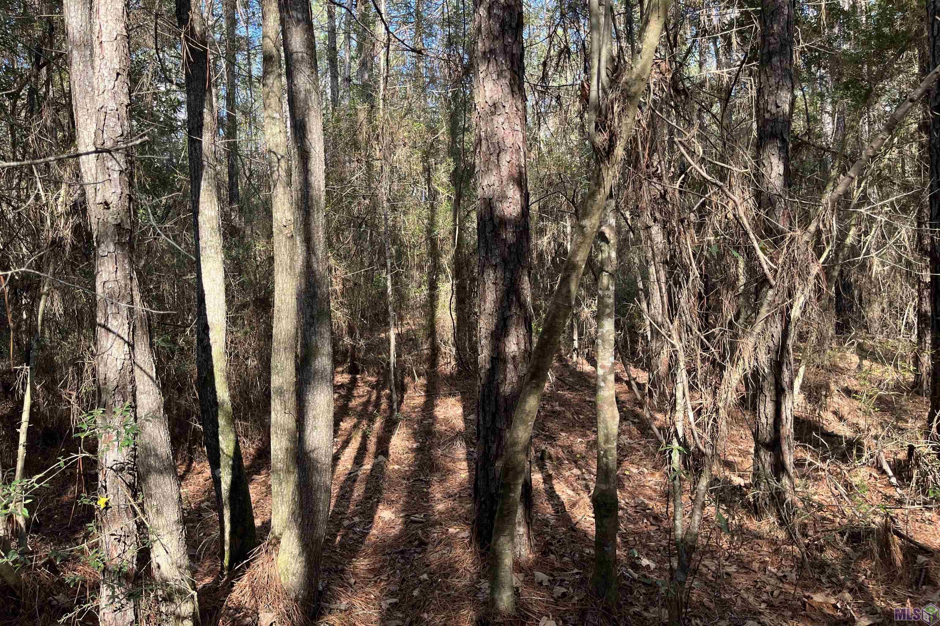 60 Butler Road Greensburg, LA 70441 - Photo 7 of 14 Gallery Image 7