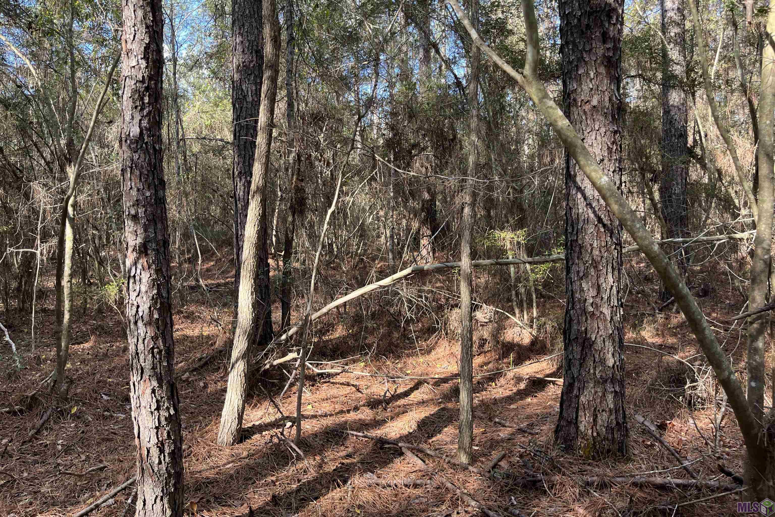 60 Butler Road Greensburg, LA 70441 - Photo 8 of 14 Gallery Image 8
