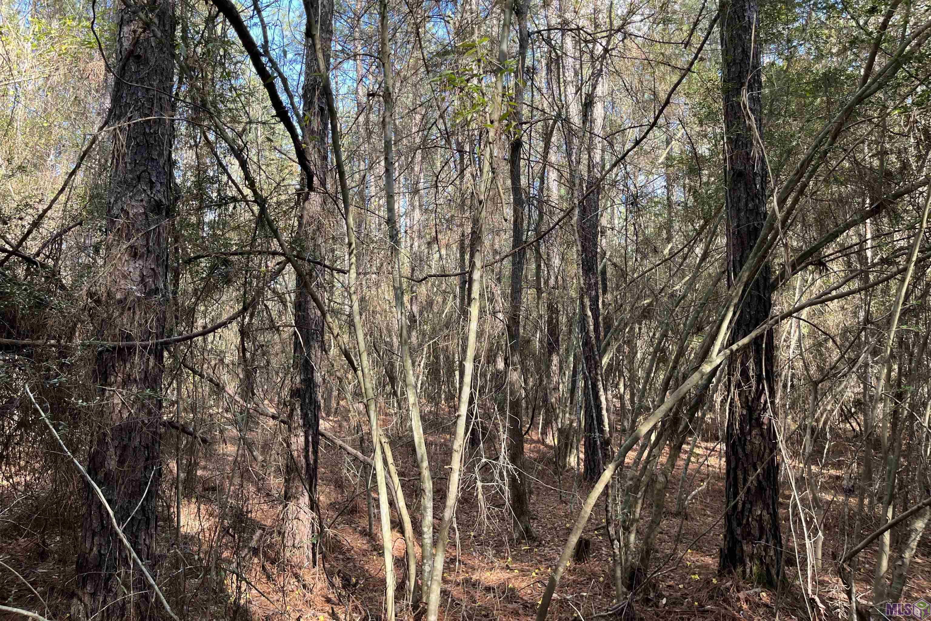 60 Butler Road Greensburg, LA 70441 - Photo 10 of 14 Gallery Image 10