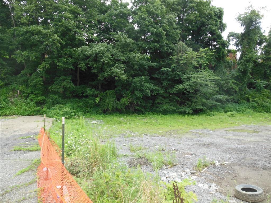 2713-2715 Library Road Overbrook, PA 15234 - Photo 8 of 8 a view of a yard with a tree