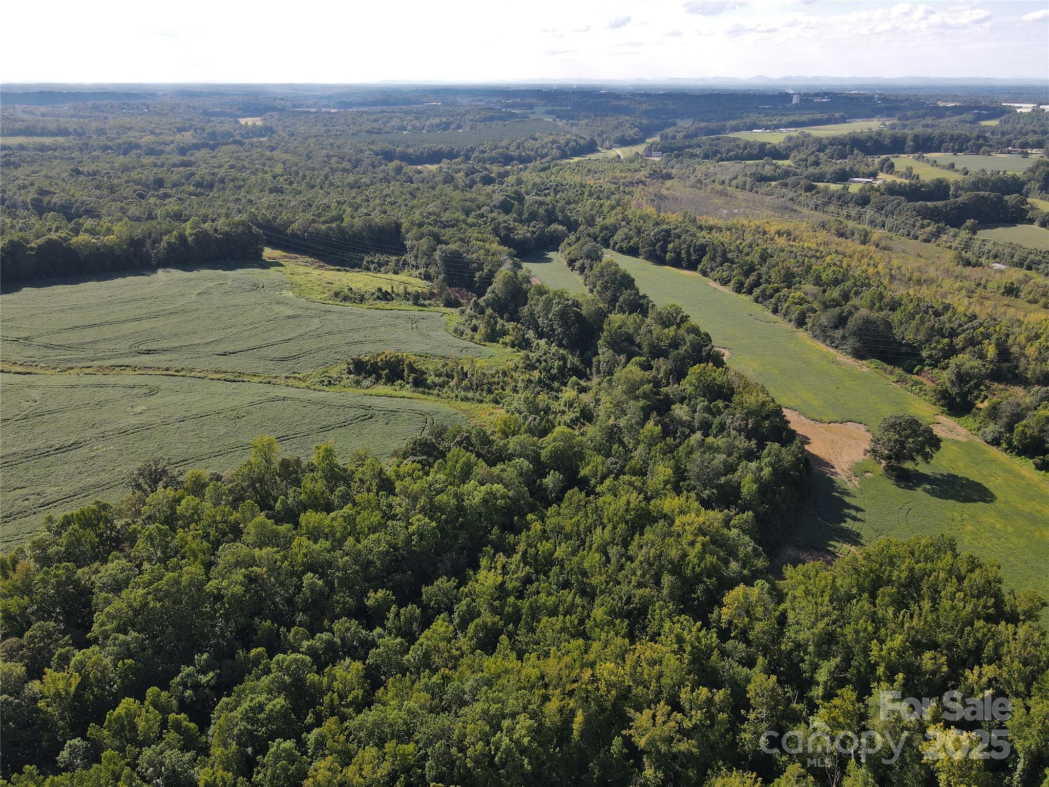 215 Rowan Road Cleveland, NC 27013 - Photo 12 of 29 a view of mountain view and mountain view