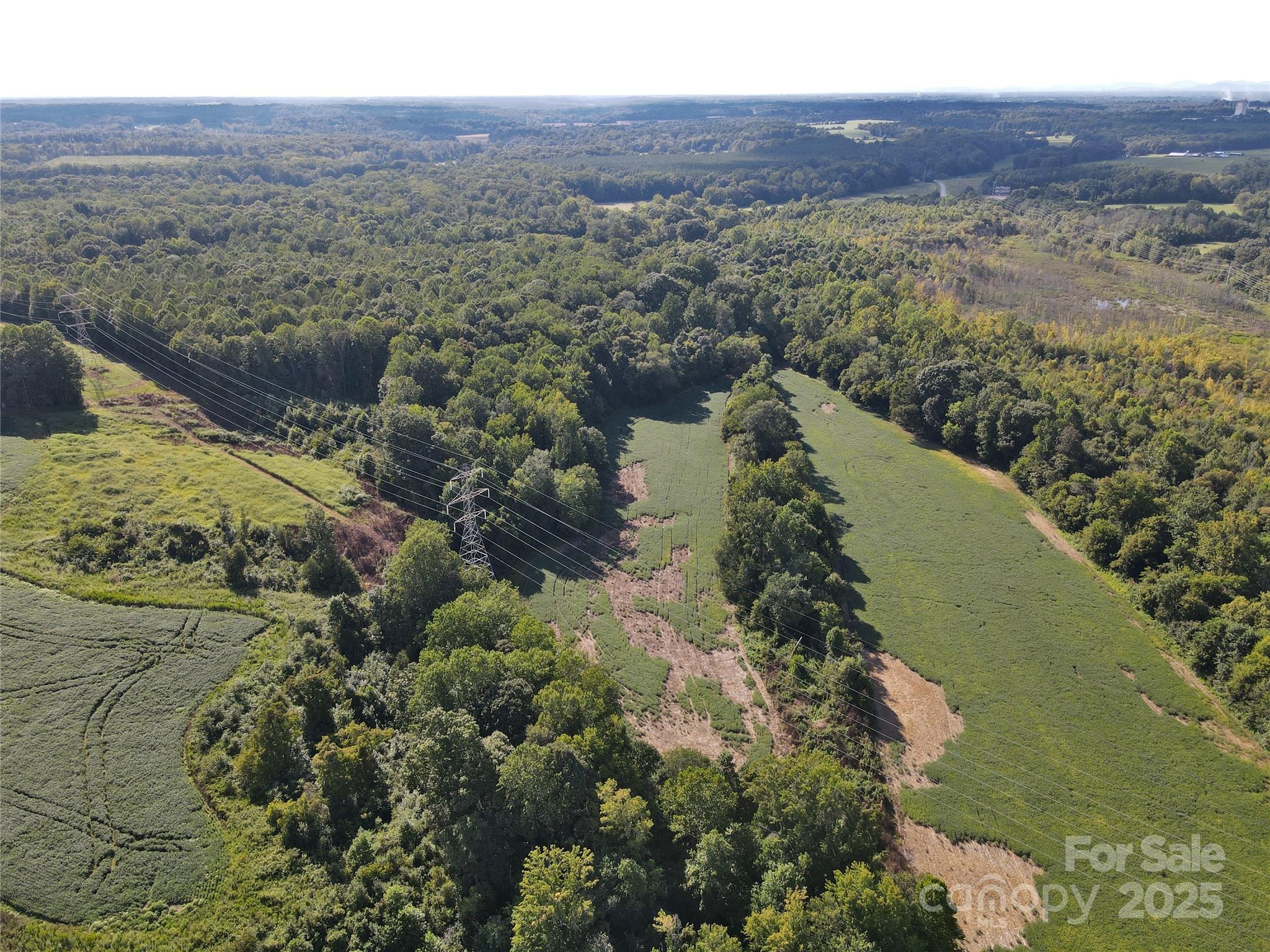 215 Rowan Road Cleveland, NC 27013 - Photo 15 of 29 a view of lake and mountain