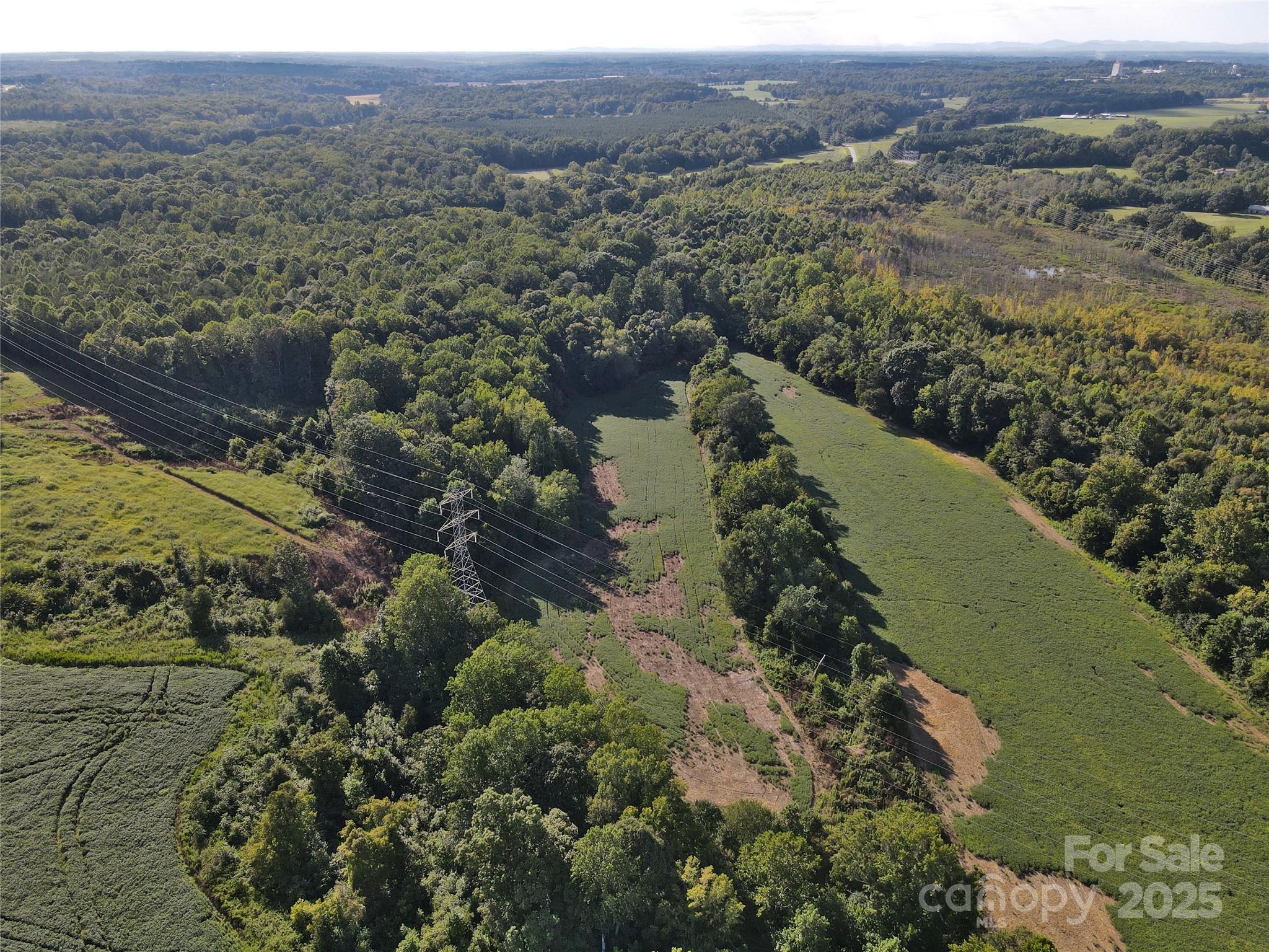 215 Rowan Road Cleveland, NC 27013 - Photo 16 of 29 a view of city and mountain