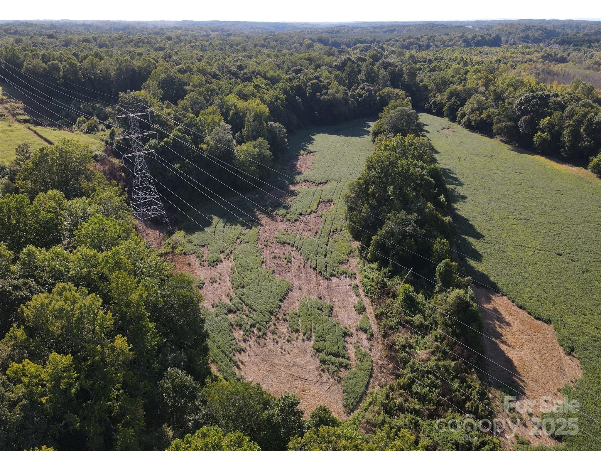 215 Rowan Road Cleveland, NC 27013 - Photo 18 of 29 a view of a forest with a lake view