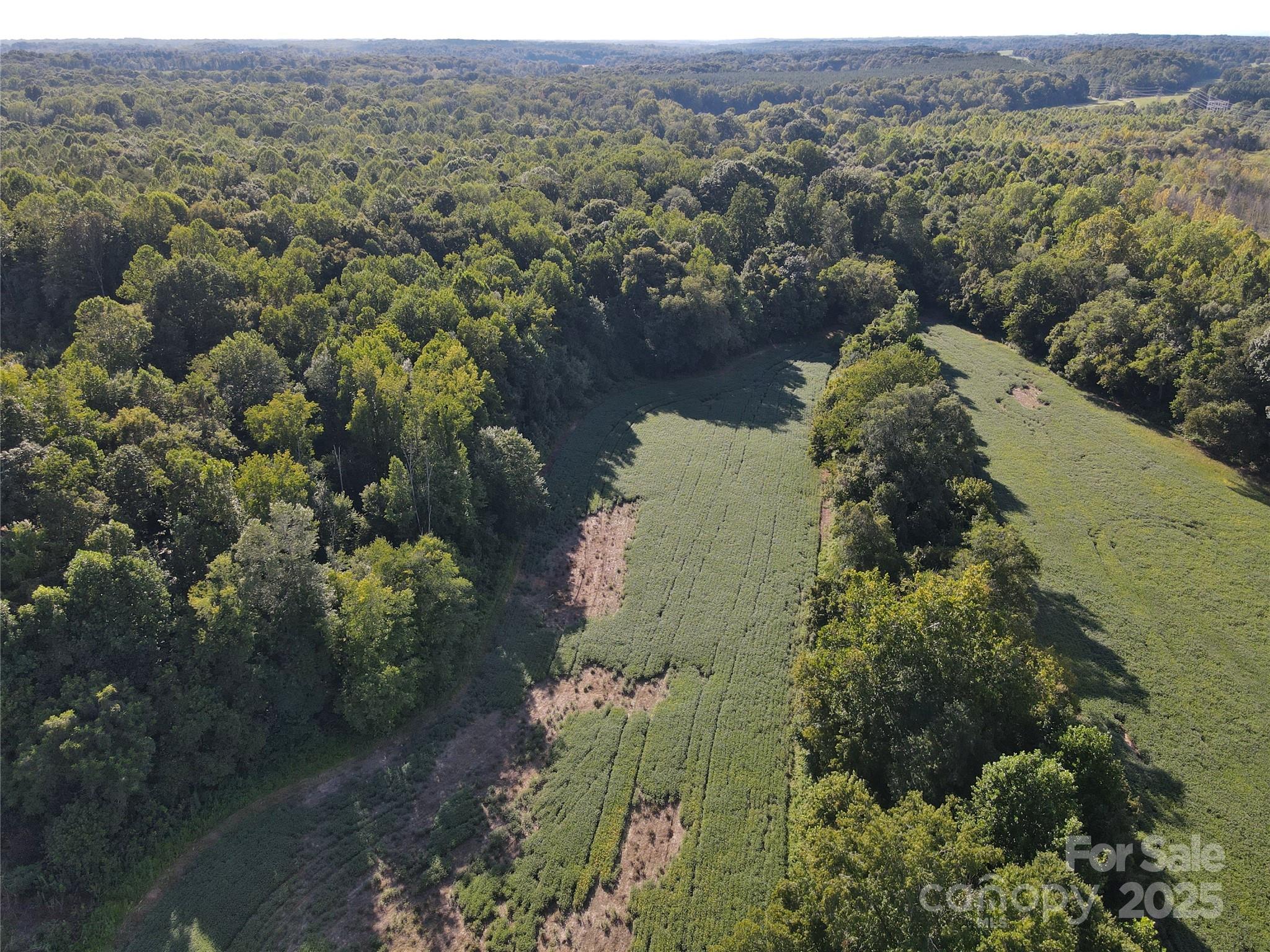 215 Rowan Road Cleveland, NC 27013 - Photo 19 of 29 an aerial view of a houses with a yard