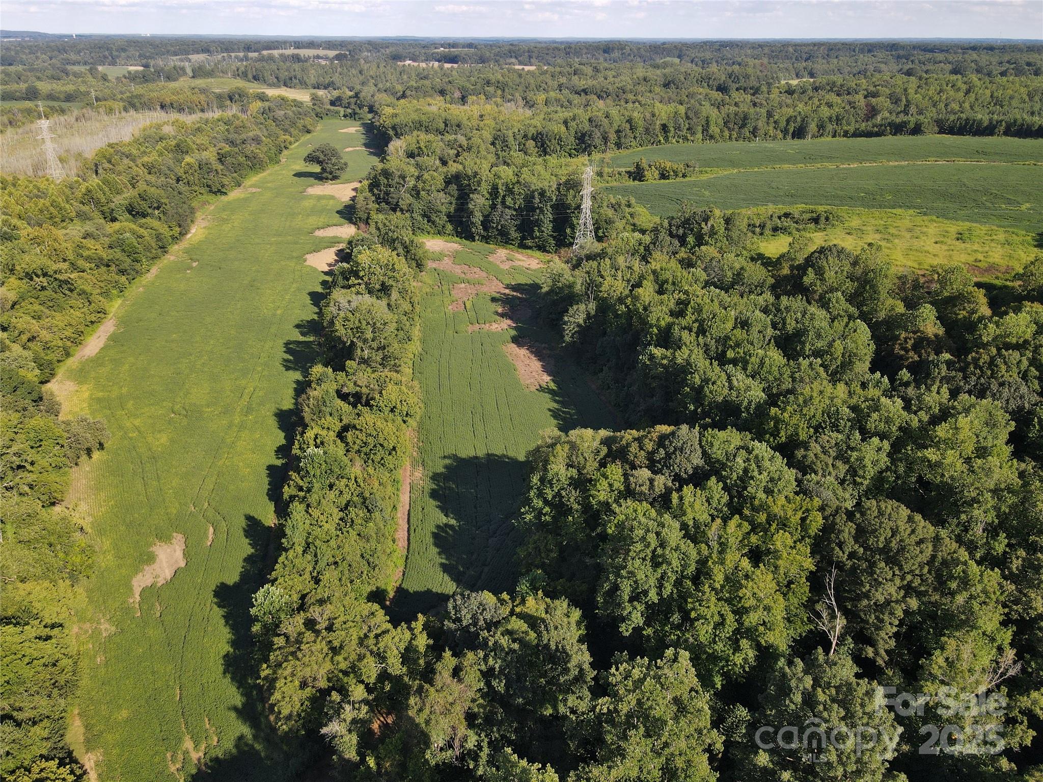 215 Rowan Road Cleveland, NC 27013 - Photo 20 of 29 a view of lake with mountain
