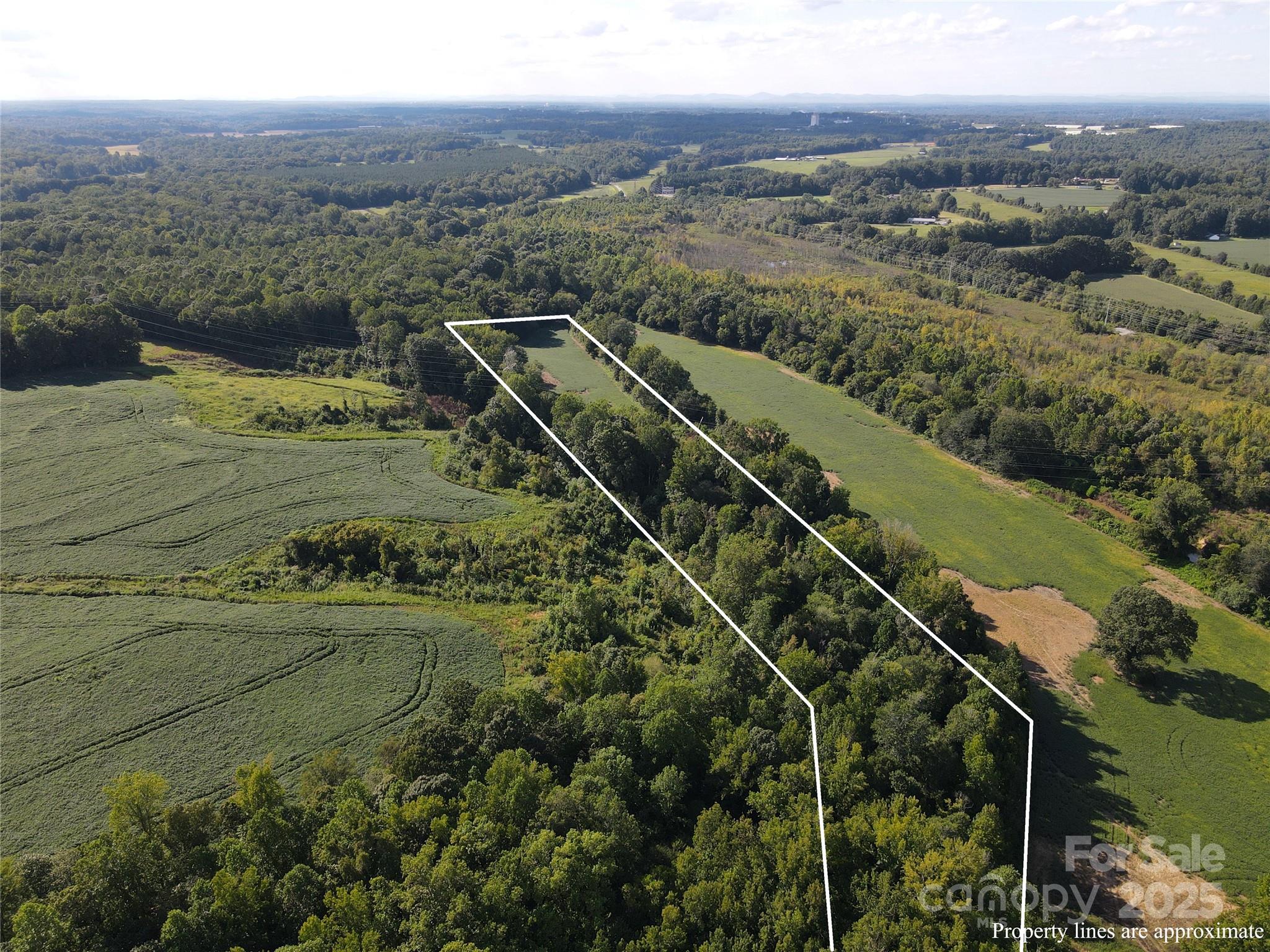 215 Rowan Road Cleveland, NC 27013 - Photo 4 of 29 a view of a town with mountains in the background