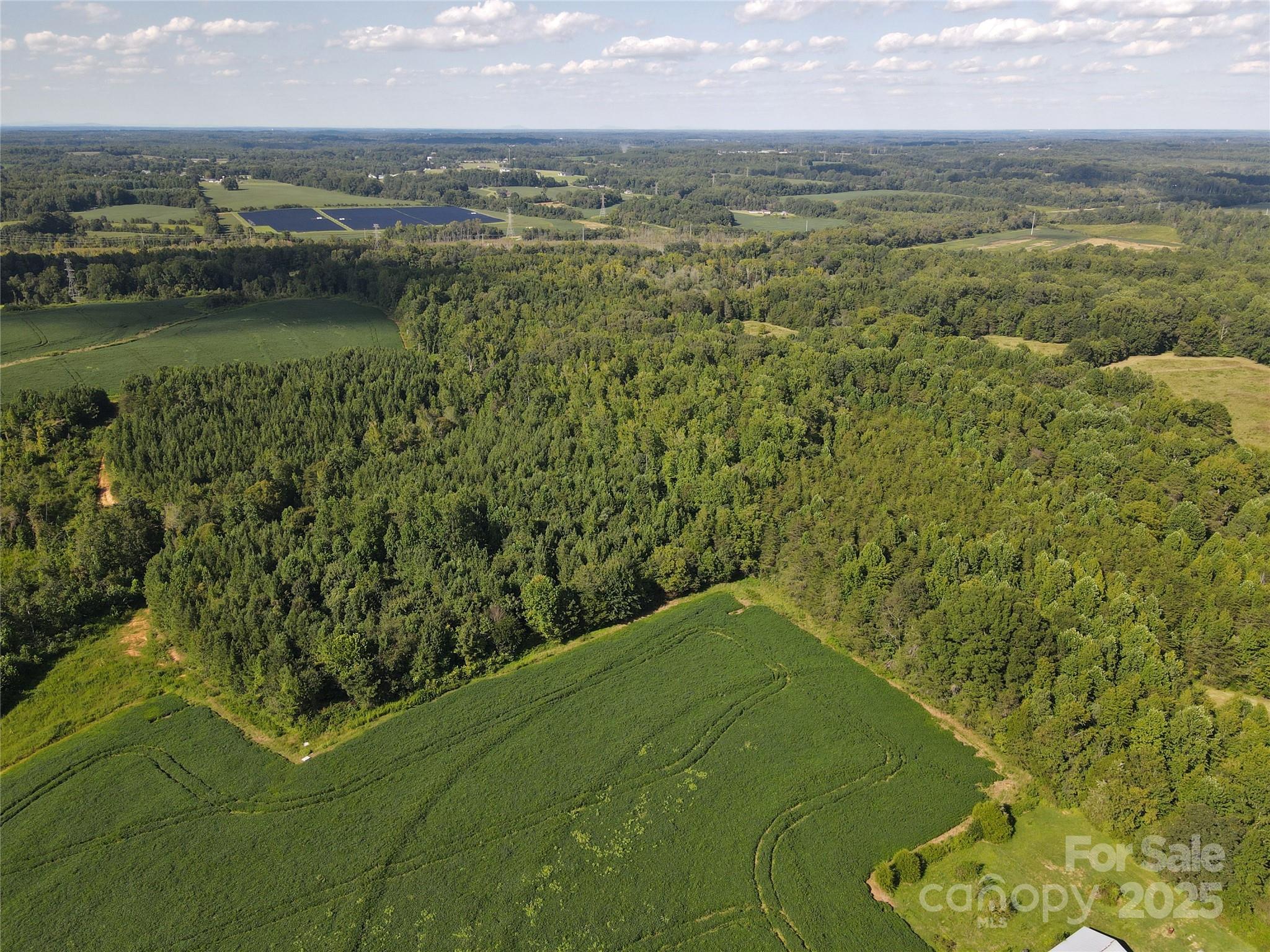 215 Rowan Road Cleveland, NC 27013 - Photo 7 of 29 a view of a lake with a yard