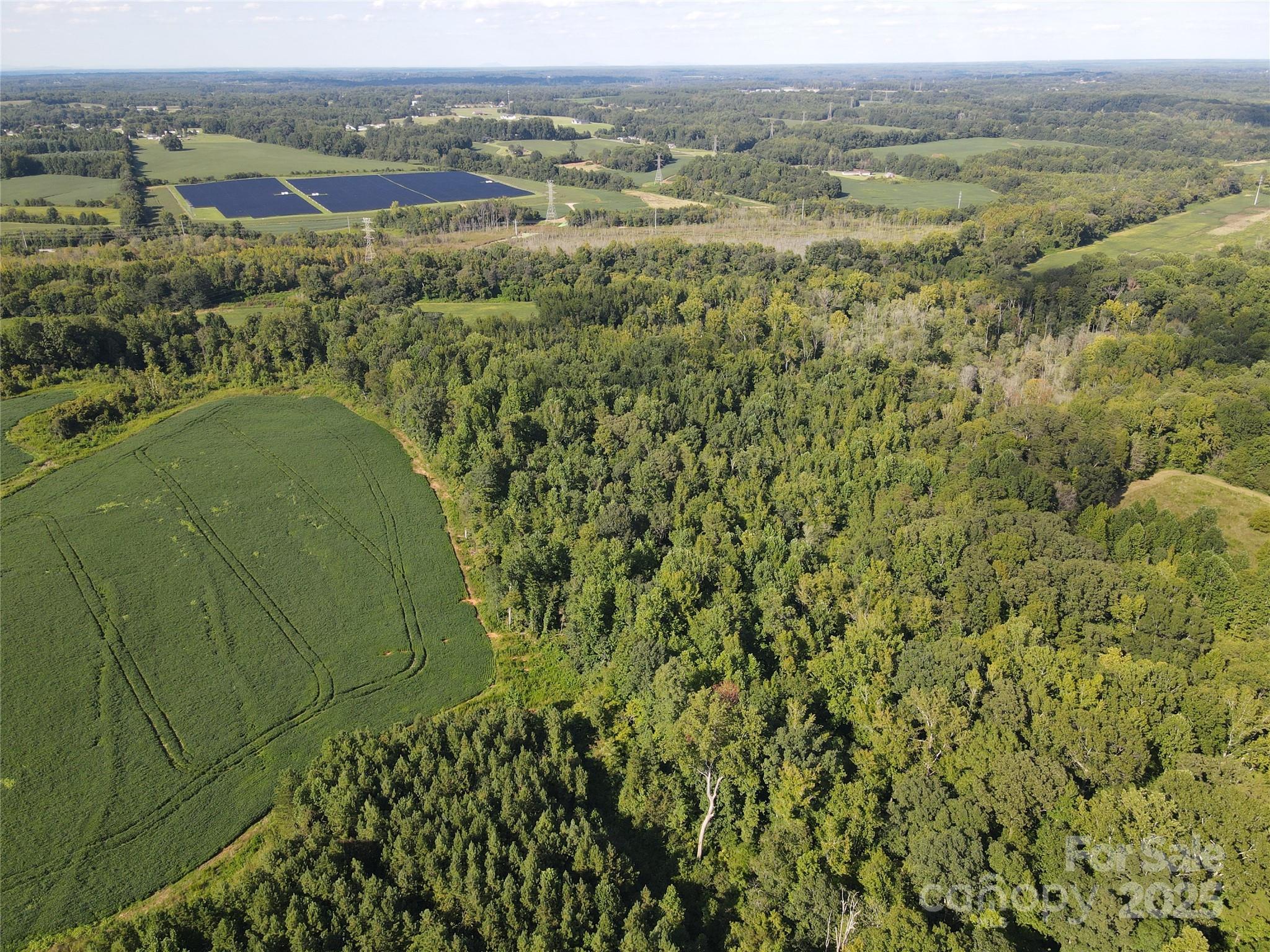 215 Rowan Road Cleveland, NC 27013 - Photo 9 of 29 a view of a field with a tree