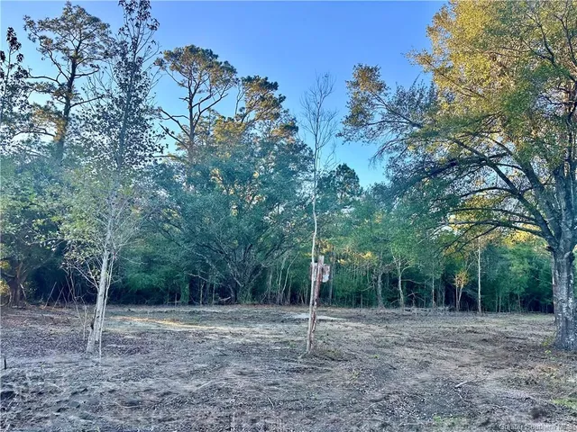 $91,900 | 0 Tate Road, Kinder, LA 70648