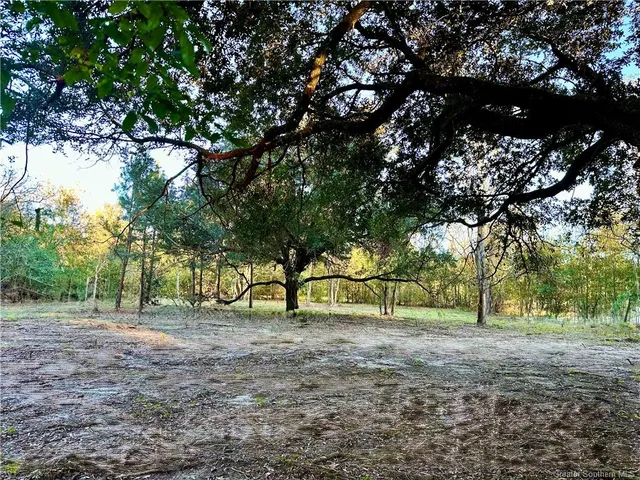 $91,900 | 0 Tate Road, Kinder, LA 70648