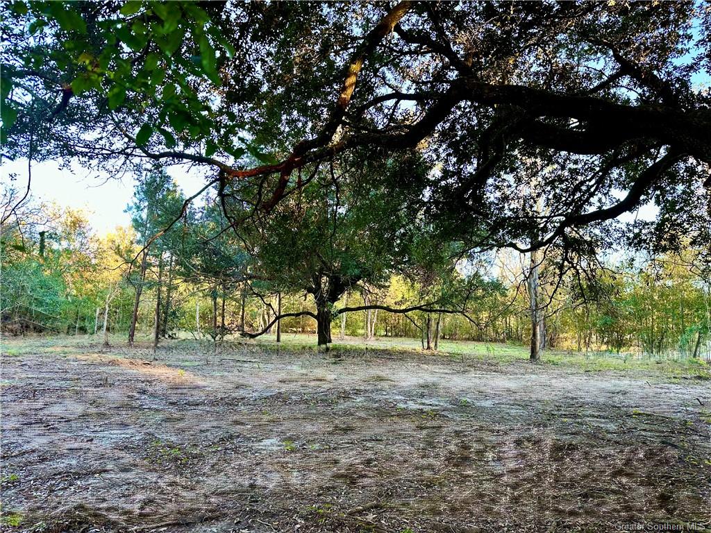0 Tate Road Kinder, LA 70648 - Photo 4 of 9