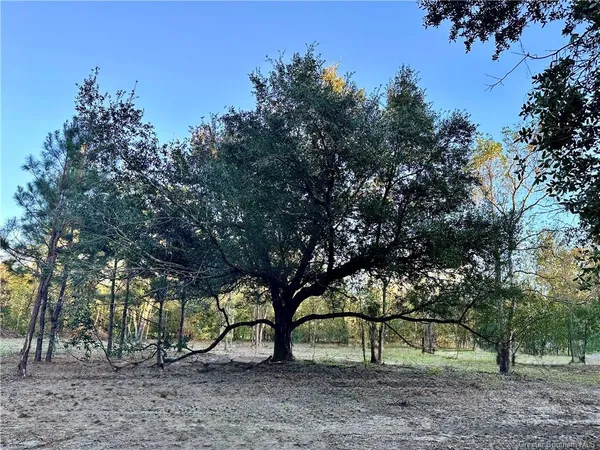 $91,900 | 0 Tate Road, Kinder, LA 70648