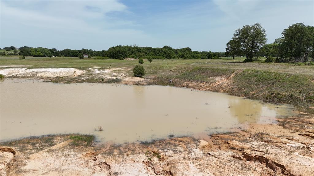 8605 West Highway 199 Springtown, TX 76082 - Photo 17 of 23 Natural pond feature with surrounding open land, mature trees, and a distant tree line