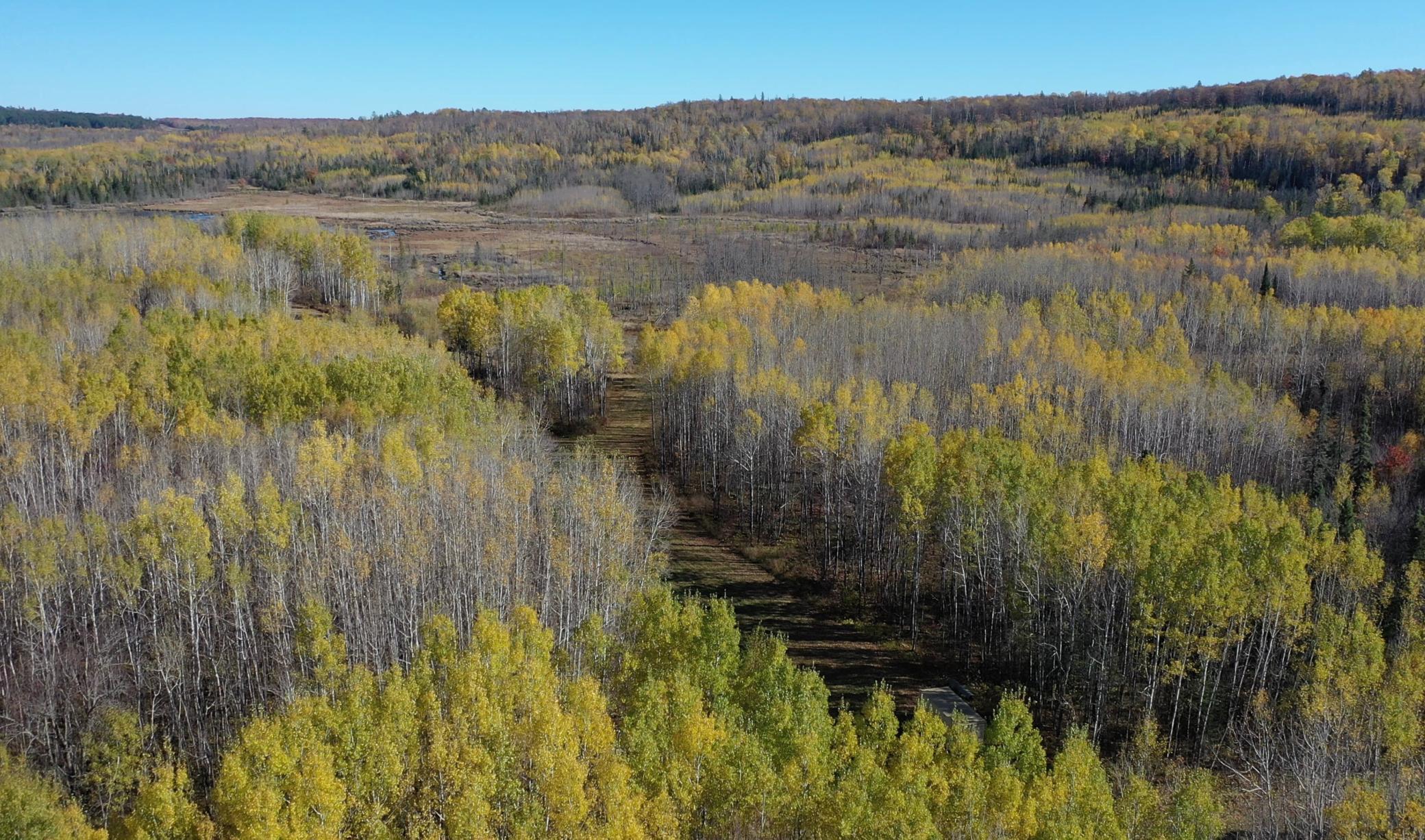 Tbd French Road Chisholm, MN 55719 - Photo 11 of 104
