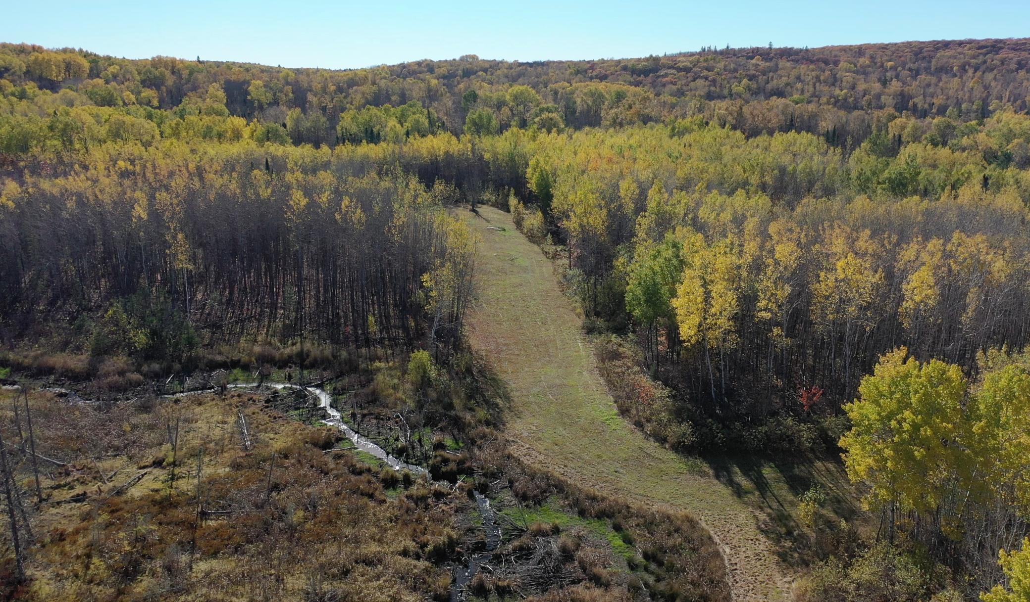 Tbd French Road Chisholm, MN 55719 - Photo 13 of 104