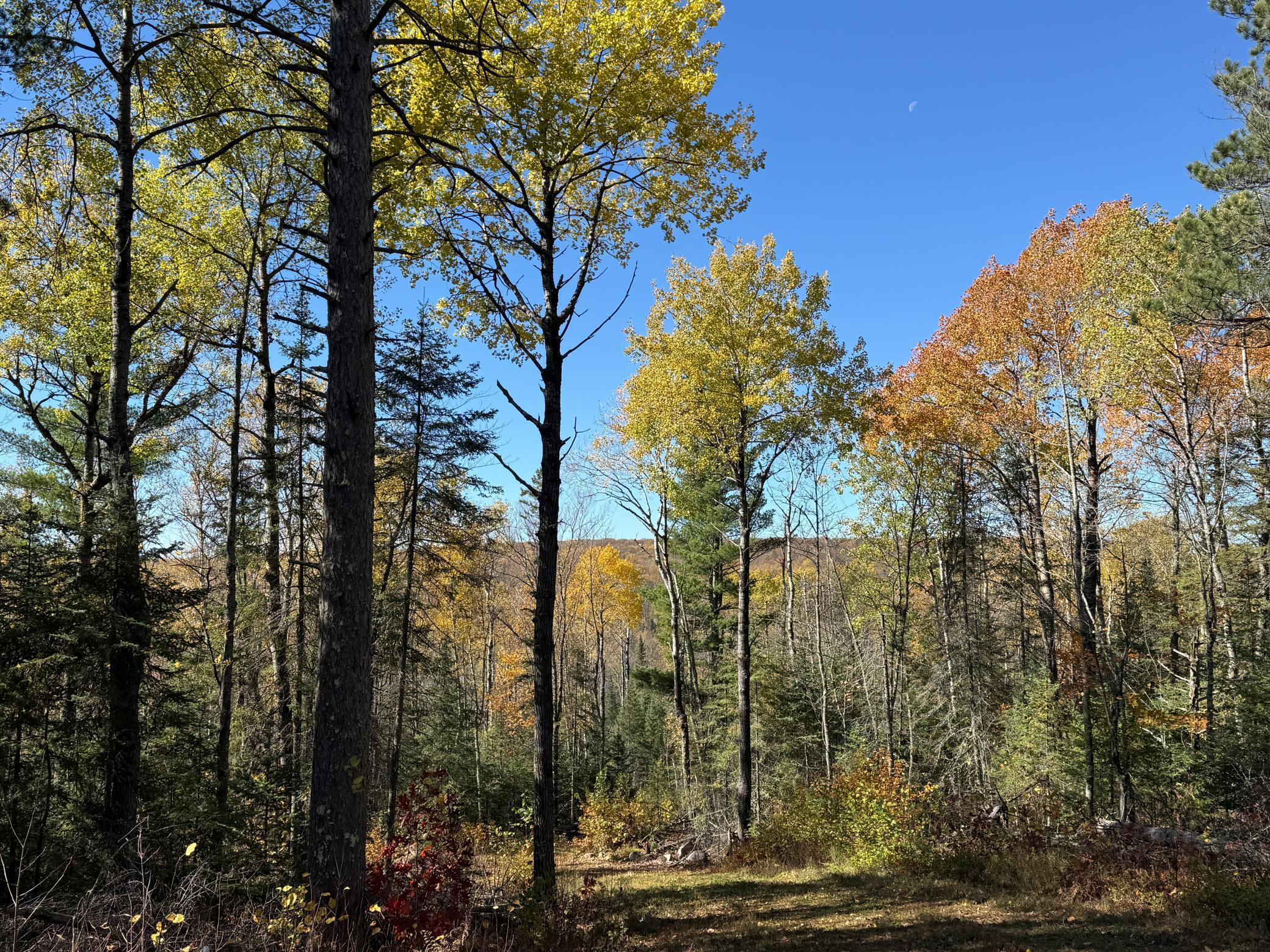 Tbd French Road Chisholm, MN 55719 - Photo 15 of 104