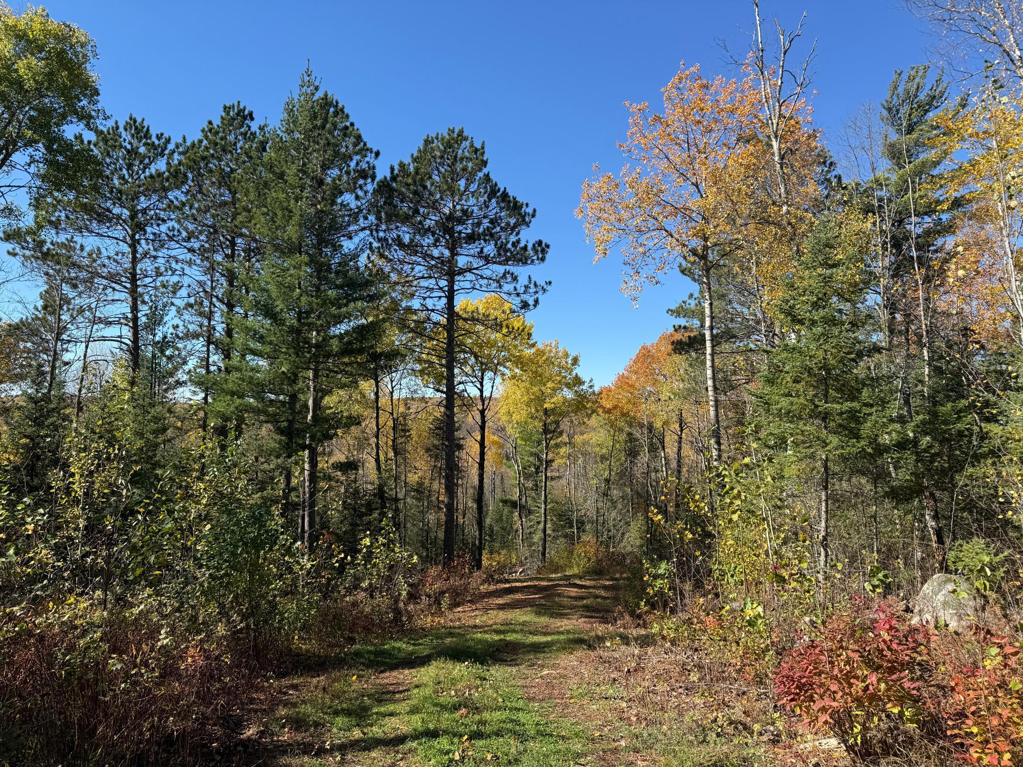 Tbd French Road Chisholm, MN 55719 - Photo 16 of 104