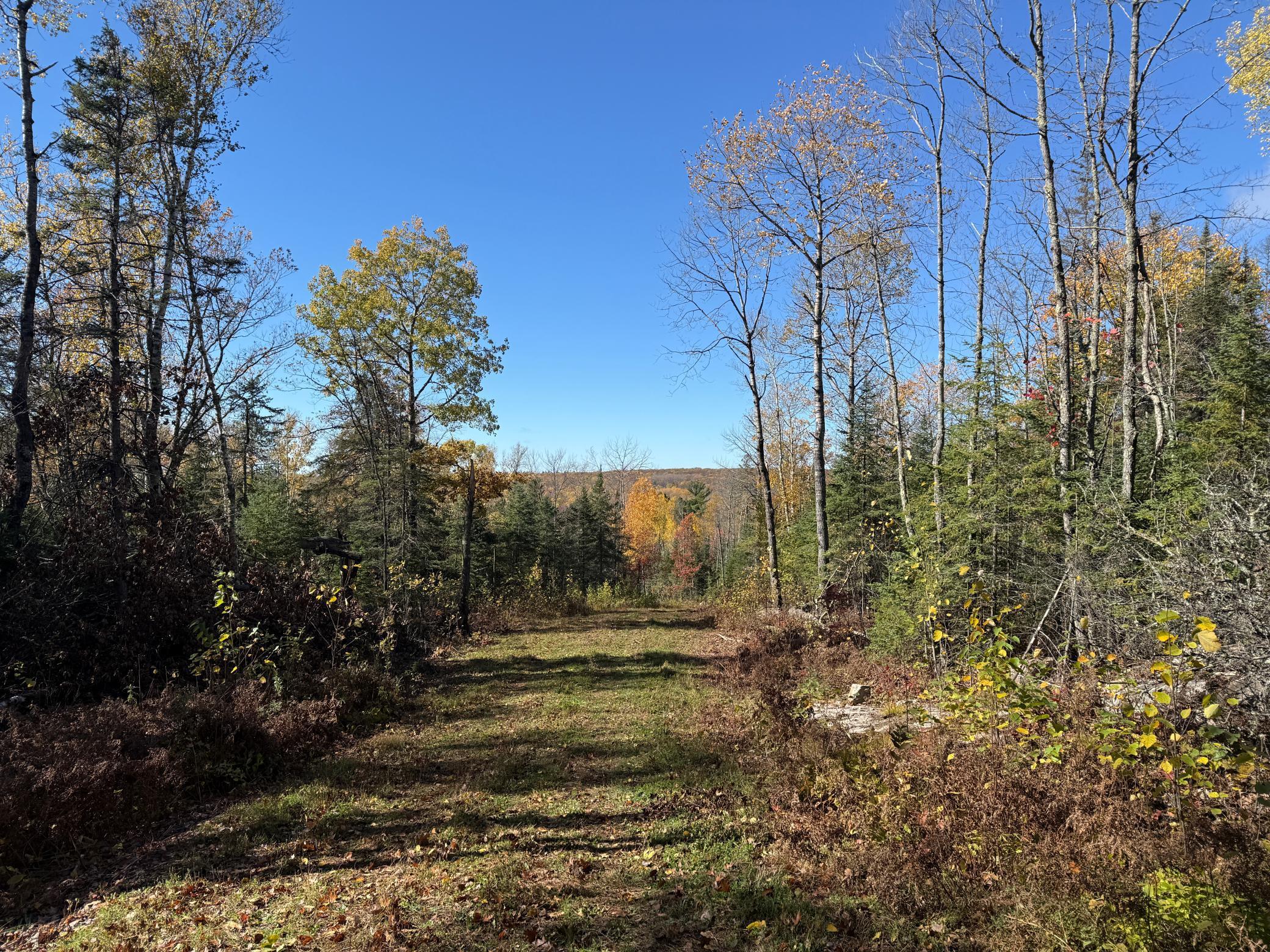 Tbd French Road Chisholm, MN 55719 - Photo 17 of 104