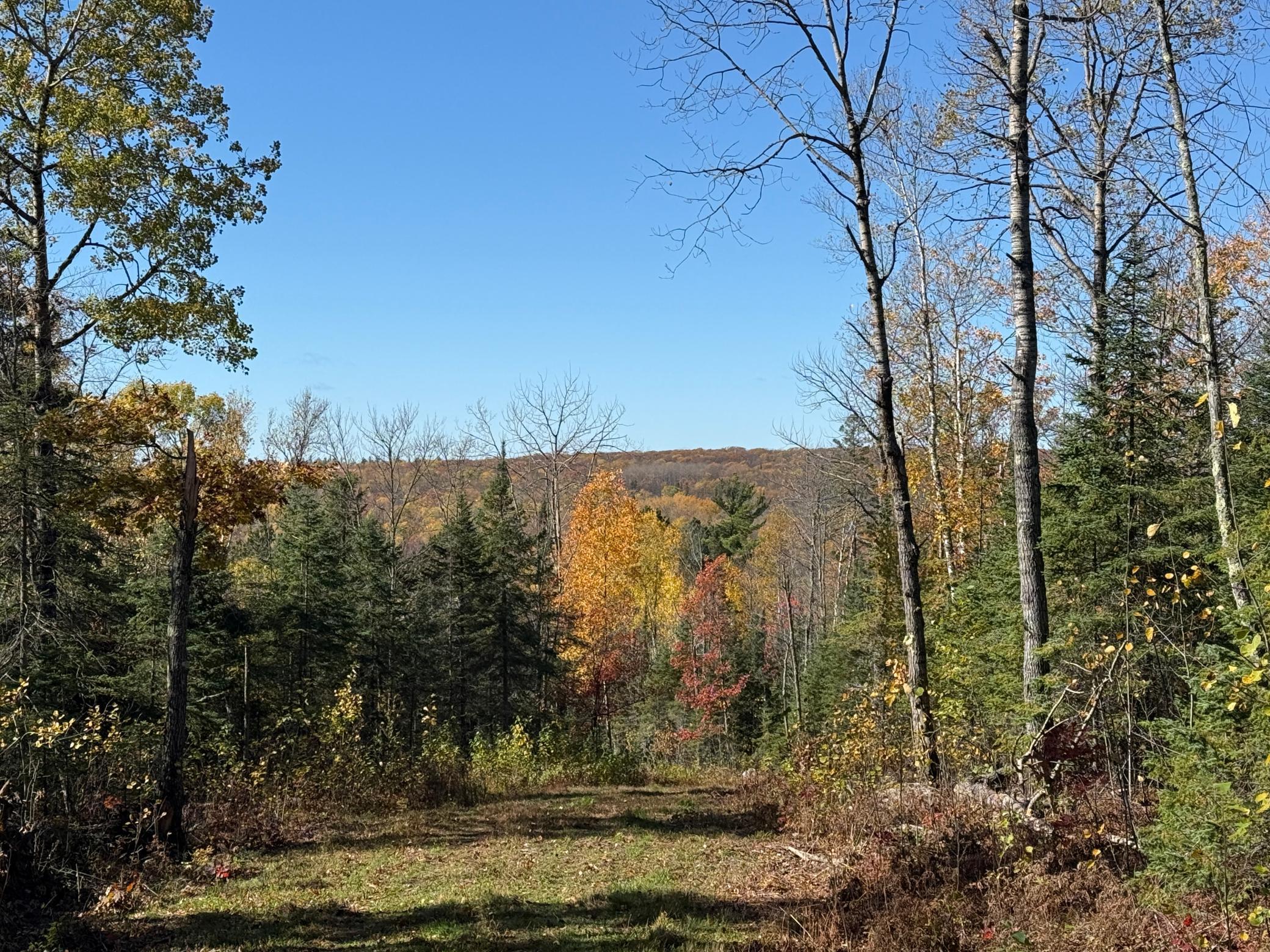 Tbd French Road Chisholm, MN 55719 - Photo 18 of 104