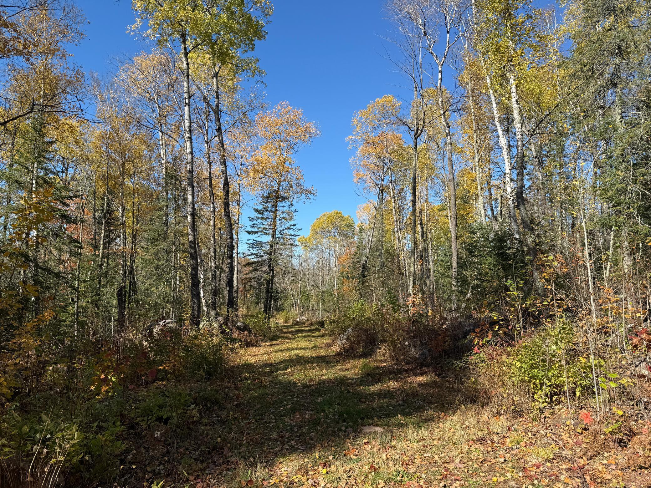 Tbd French Road Chisholm, MN 55719 - Photo 20 of 104
