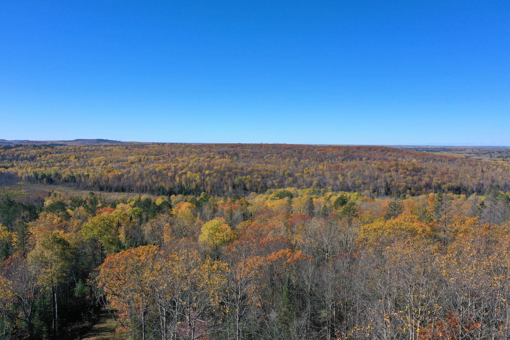 Tbd French Road Chisholm, MN 55719 - Photo 2 of 104