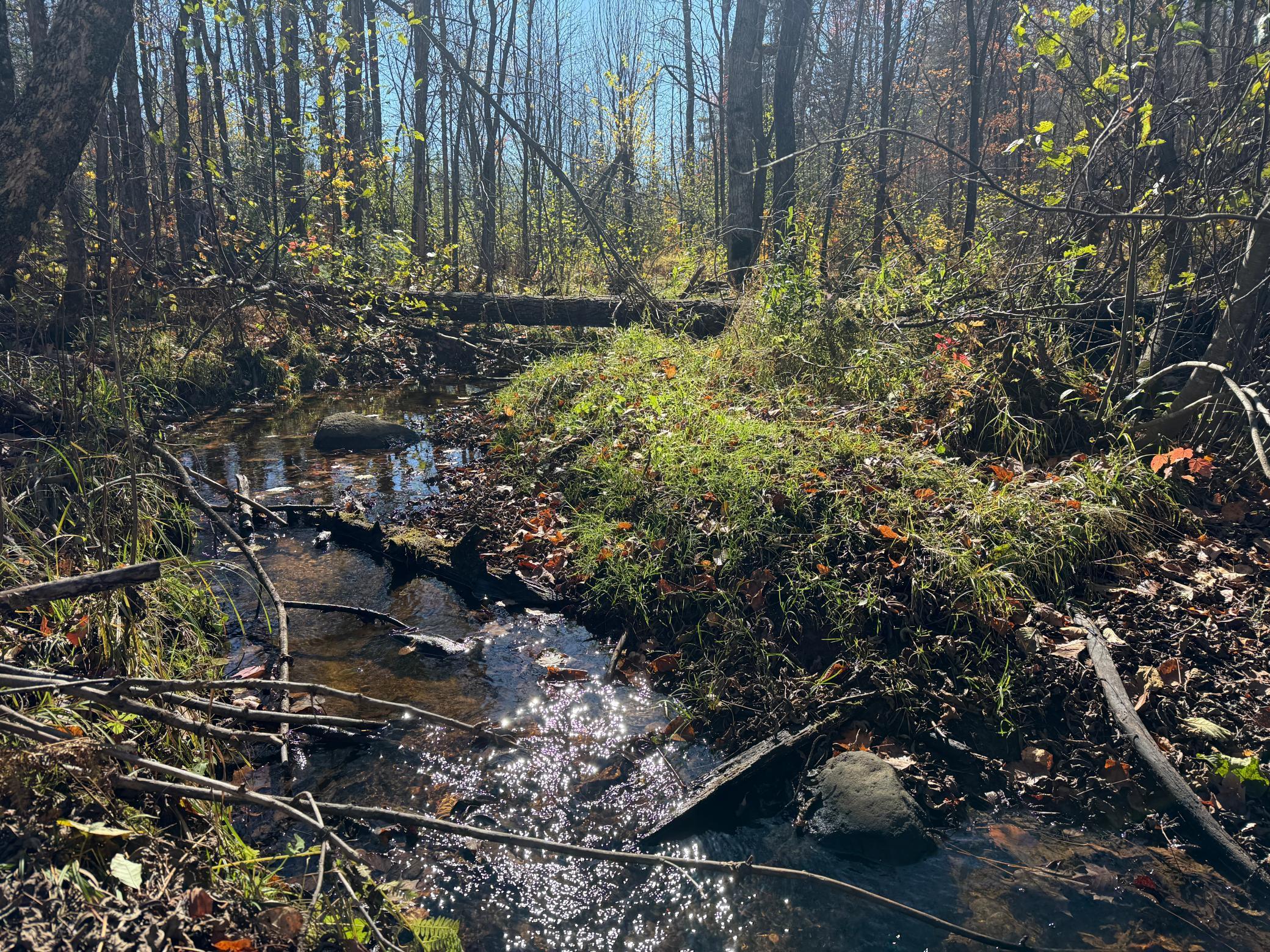 Tbd French Road Chisholm, MN 55719 - Photo 21 of 104