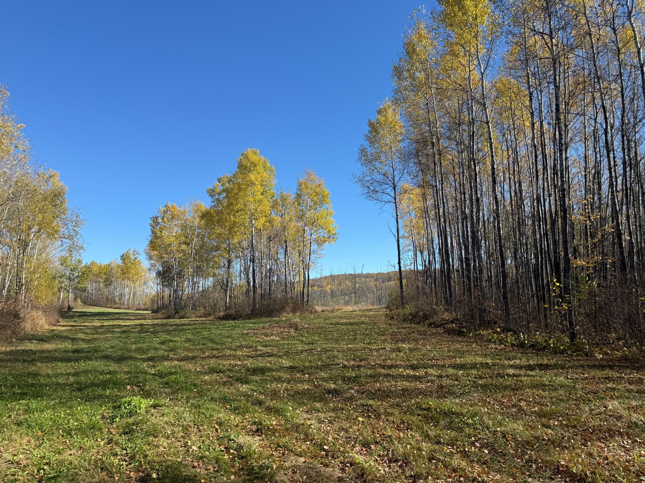 Tbd French Road Chisholm, MN 55719 - Photo 25 of 104