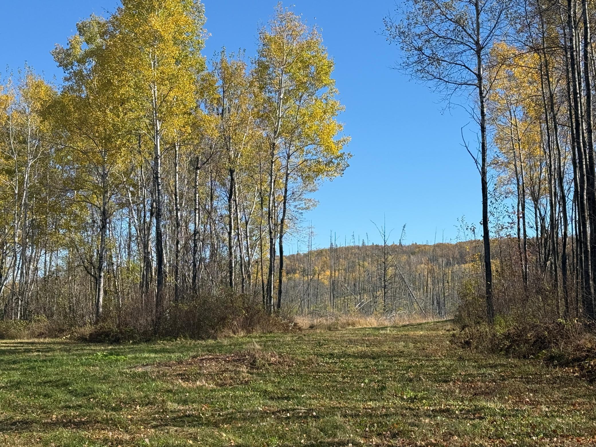 Tbd French Road Chisholm, MN 55719 - Photo 26 of 104