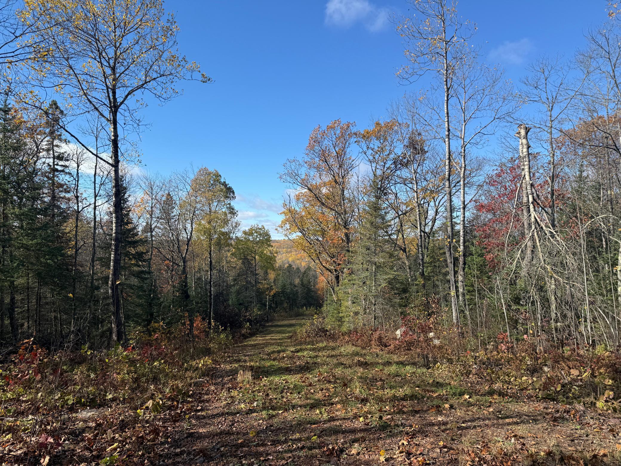 Tbd French Road Chisholm, MN 55719 - Photo 28 of 104